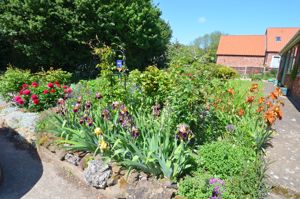 Garden- click for photo gallery